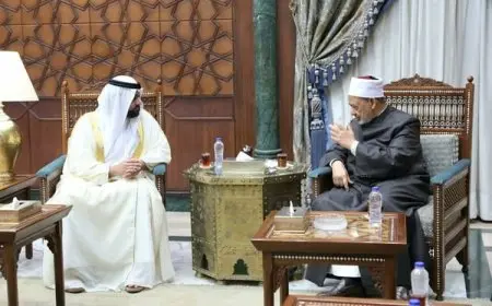 شيخ الأزهر يلتقي ولي عهد الفجيرة لبحث طرق حماية الأسرة – لن تصدق ما جرى!