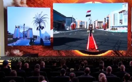 رئيس مصر يفتتح مجمع المصالح الحكومية بالوادي الجديد عن بعد! شاهد الفيديو الكامل الآن