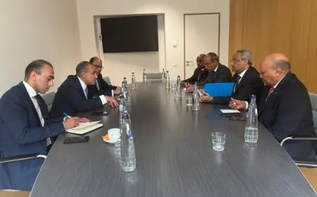 اجتماعات قمة الأعمال المصريّة الجيبوتيّة: خطة جديدة لتعزيز التجارة الثنائية!