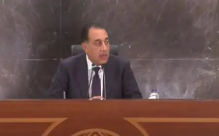 مفاجأة! مستقبل مصر يتجسد في الدلتا الجديدة مع استصلاح 2 مليون فدان في 3 سنوات فقط