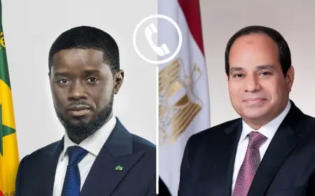 الرئيس السيسي ونظيره السنغالي يبحثان هاتفيًا الأوضاع الإقليمية: ماذا جرى؟