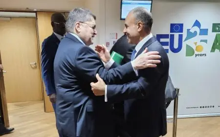 وزير الخارجية يحقق نجاحات كبيرة في مباحثاته ببروكسل مع قادة أوروبيين وإفريقيين