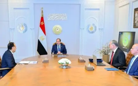 رئيس مصر يعقد اجتماعاً حاسماً لتقديم حلول مبتكرة لأزمة الكهرباء!