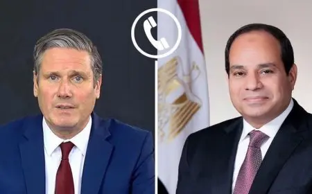 فيديو: الرئيس السيسي يتحدث بالهاتف مع رئيس وزراء بريطانيا!