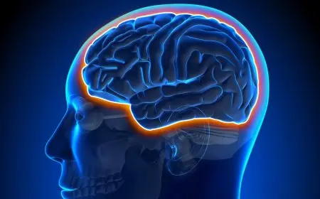 مفاجأة! توجيهات عاجلة من الأعلى للإعلام بشأن محتوى الأورام في الإعلام