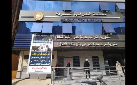 كل ما تحتاج معرفته حول زيادة الضرائب على الشرائح المختلفة! تفاصيل مثيرة من رئيس المصلحة!