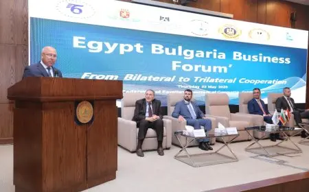 اكتشف خطة الوزير كامل لدعم صناعة الحديد الوطنية مع إصدار رخص بليت جديدة!