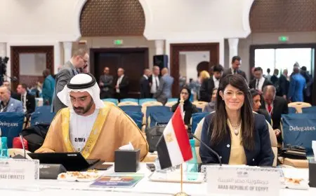 الدول متوسطة الدخل تواجه مشكلة كبيرة لا تستطيع تجاهلها!