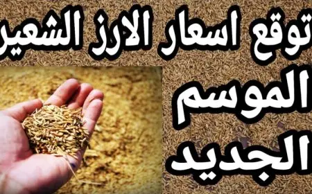 رفيع وعريض الحبة.. سعر طن الارز الشعير اليوم السبت 24-5-2025 أخر اسعار السلع في الأسواق المحلية