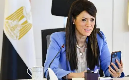 المشاط يكشف عن خطط جديدة مع البنك الدولي لتطوير التمويل المبتكر للشركات الخاصة