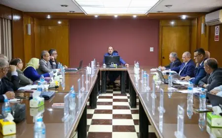 وزير قطاع الأعمال يفحص بنفسه تقدم مشروعات الصناعات المعدنية! هل يتجاوز التوقعات؟