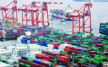 زيادة مذهلة بنسبة 4.7% في صادرات مصر إلى الاتحاد الإفريقي خلال عام 2024!