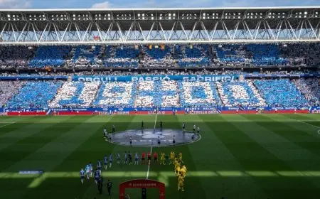 احتفالات حماسية لجماهير إسبانيول بعد تأمين بقائها في الدوري الإسباني