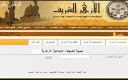 نتيجة الشهادة الابتدائية الأزهرية 2025 برقم الجلوس والاسم من خلال بوابة الأزهر الإلكترونية للنتائج