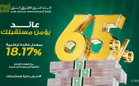«عوائد توصل لـ100%».. شهادات البنك العربي الأفريقي 2025 تشعل السباق بين اسعار العائد في البنوك بعد خفض الفائدة