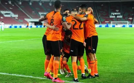 نهضة بركان تتوج باللقب القاري للمرة الثالثة!