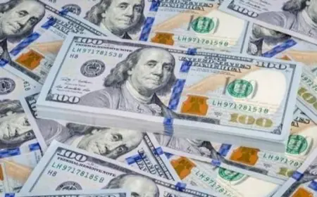 كل ما تحتاج معرفته عن سعر الدولار مقابل الجنيه اليوم! تحديثات حصرية هنا!