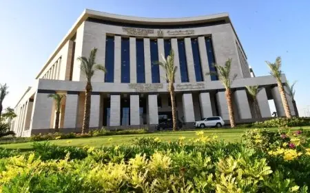 بإصدار تحديث جديد! الآن يمكنك الحصول على رخصة محلك في المدن الجديدة بضغطة زر واحدة!