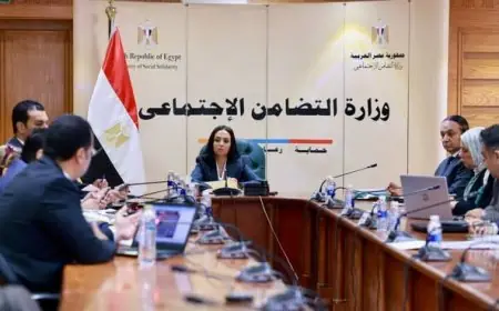 ٣ آلاف أصل تحت المراقبة! التضامن تنظر في حالة البنايات بالمحافظات العراقية.