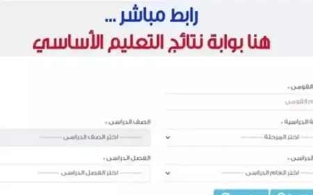 بوابة نتائج التعليم الأساسي برقم الجلوس .. موعد ورابط نتيجة الصف الثالث الابتدائي 2025 محافظة القاهرة الترم الثاني