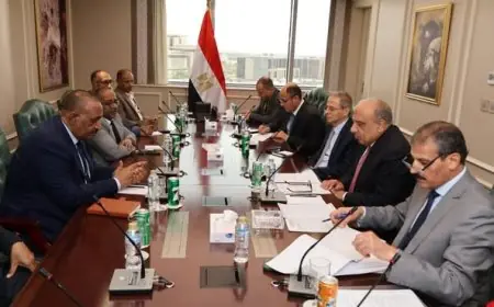 وزير الكهرباء ونفط السودان يجتمعان لتعزيز التعاون الطاقوي!