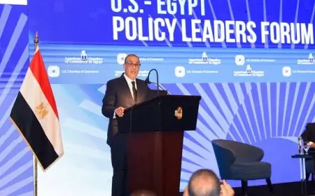 وزير الخارجية يكشف عن خطط الحكومة للتعاون مع شركات أمريكية في مصر