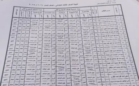 رابط نتيجة الصف الثالث الابتدائي 2025 في القليوبية وخطوات الاستعلام بالرقم القومي او بالاسم ورقم الجلوس