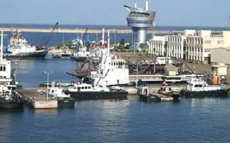 صور: ميناء دمياط يحقق رقماً قياسياً باستقبال 27 سفينة خلال يوم واحد!