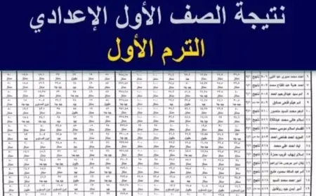 اولى إعدادي.. رابط نتيجة الصف الأول الإعدادي 2025 بالاسم فقط عبر بوابة التعليم الأساسي برقم الجلوس او بالرقم القومي