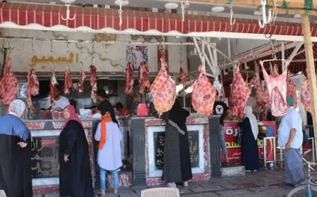 أسعار الأضاحي واللحوم البلدي والمستوردة في مصر قبيل عيد الأضحى: الكيلو بـ 190 جنيها! تعرف على التفاصيل!