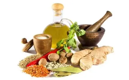 حسام موافي: احذروا من استخدام الأعشاب لعلاج النسيان، تجارة محظورة وخطرة!