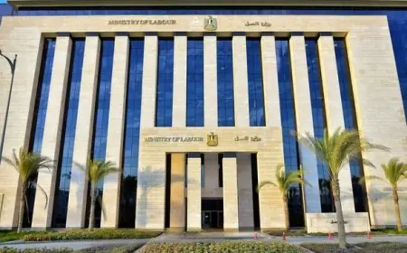 “وزارة العمل تصدر بياناً عاجلاً حول حادثة تعنيف عامل في فيديو شهير بمسؤول سعودي”