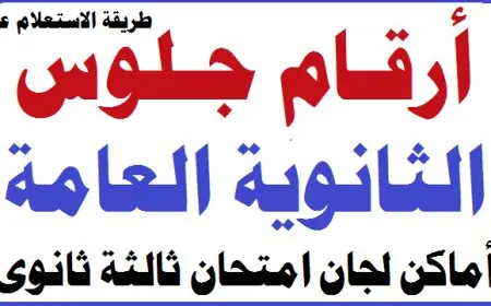 رقم جلوس 3 ثانوي عام.. أرقام جلوس الثانوية العامة 2025 عبر الموقع الرسمي لوزارة التربية والتعليم