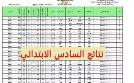 نتيجة الصف السادس الابتدائي 2025 محافظة البحيرة.. الاستعلام برقم الجلوس او بالاسم او بالرقم القومي للطالب