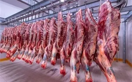 أسعار اللحوم في الأسواق قبل عيد الأضحى: شعبة القصابين تكشف التفاصيل المهمة