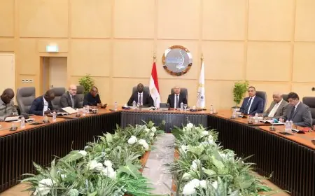 وزير النقل كامل الوزير يستعرض التطورات الأخيرة لمشروع الطريق البري بين مصر وتشاد