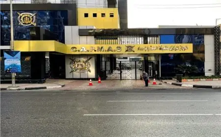 الإحصاءات تكشف: العمر المتوقع عند الميلاد للإناث في مصر يصل إلى 74.4 سنة بحلول 2025!