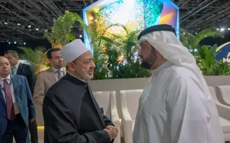 “شيخ الأزهر ورئيس مجلس حكماء المسلمين يتحدثان عن كيفية تمكين الشباب في بناء السلام”