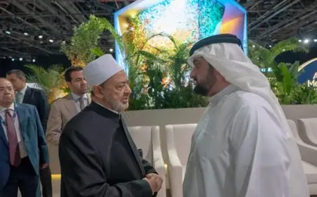 شيخ الأزهر: أهمية تمكين الشباب في تحقيق السلام واستدامته