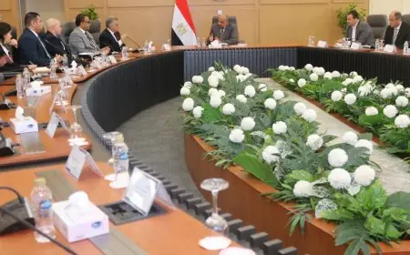 “وزير الكهرباء يكرم 4 مشروعات مبتكرة في إنتاج الطاقة المتجددة بشهادات التأهيل”