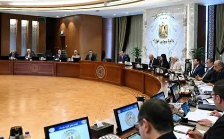 مدبولي: فرص استثمارية واعدة في مصر تتطلب جذب الاستثمارات الأجنبية المباشرة!