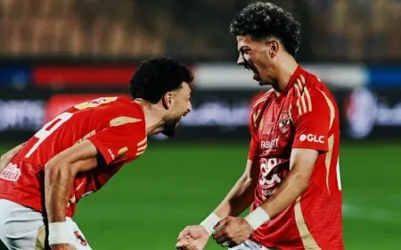 الأهلي يتألق ويبتعد في الصدارة: اكتشف الأندية الفائزة بلقب الدوري المصري!