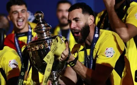 كريم بنزيما يتألق متفوقاً على رونالدو وينال لقب أفضل لاعب في الدوري السعودي