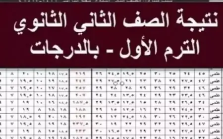 نتيجة الصف الثاني الثانوي الترم الثاني 2025 محافظة الغربية رابط الاستعلام نتيجة اولى ثانوي برقم الجلوس وبالاسم