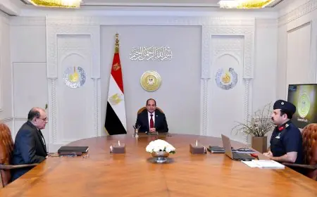 الرئيس السيسي يؤكد على أهمية تأمين المخزونات الاستراتيجية من السلع الأساسية لفترات كافية