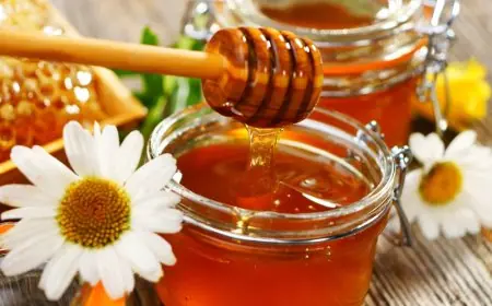 الحكومة تصدر أول بيان رسمي حول أزمة انتشار عسل النحل المغشوش في الأسواق