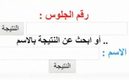 بوابة التعليم الأساسي.. نتيجة الصف الثالث والرابع والخامس والسادس الابتدائي الترم الثاني 2025 برقم الجلوس والاسم