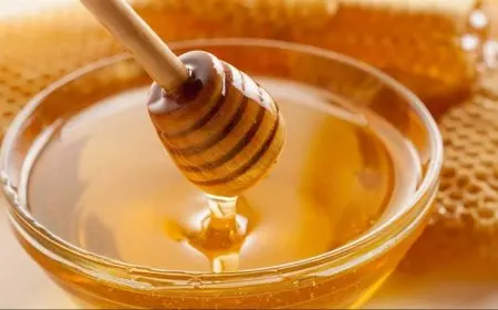 الحكومة تكشف حقيقة انتشار «عسل مغشوش» في الأسواق المصرية وطرق التفريق بينه والعسل الأصلي