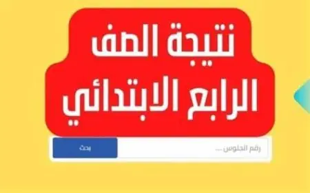 نتيجة الصف الرابع الابتدائي بالاسم فقط 2025 وخطوات الاستعلام عبر بوابه التعليم الاساسي برقم الجلوس