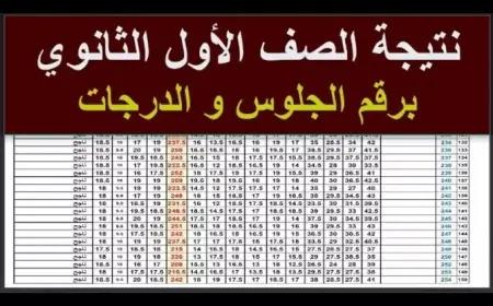 نتيجة الصف الأول الثانوي الترم الثاني 2025 محافظة دمياط برقم الجلوس او بالاسم عبر موقع المديرية التعليمية